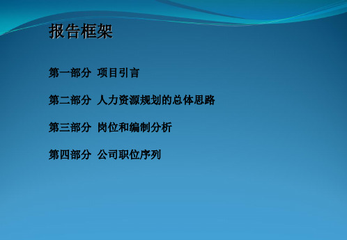 人力资源规划方案(案例完整版)