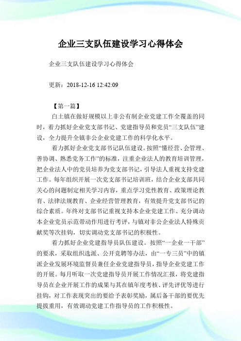 企业三支队伍建设学习心得体会.doc