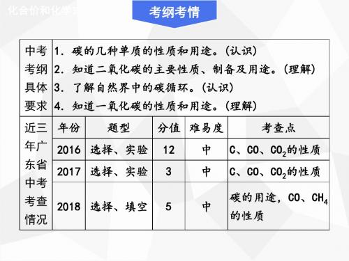 2019年中考化学复习(广东)专题特训精品课件：碳和碳的氧化物(共46张PPT)