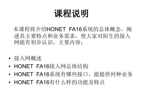 华为接入网和HONET系统概述