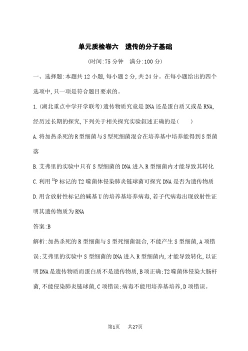 人教版高考生物学一轮总复习课后习题 第6单元 遗传的分子基础 单元质检卷六 遗传的分子基础 (2)