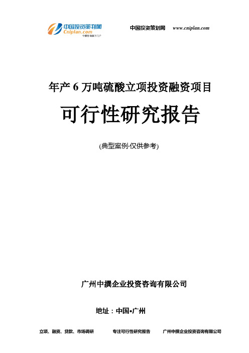 年产6万吨硫酸融资投资立项项目可行性研究报告(中撰咨询)