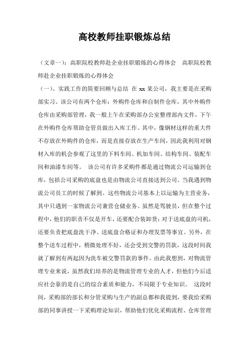 高校教师挂职锻炼总结