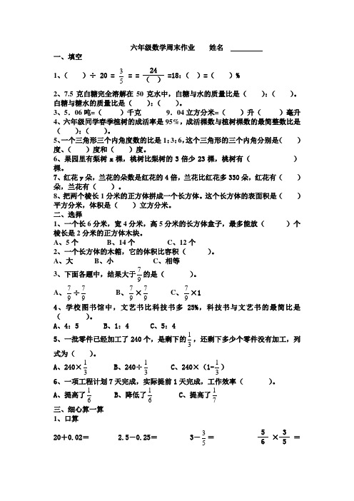 苏教版六年级上学期数学周末作业