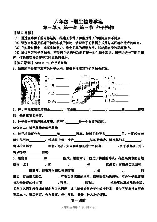 第三节 种子植物 导学案