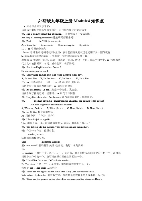 外研版九年级上册Module4知识点