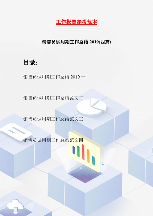 销售员试用期工作总结2019(四篇)