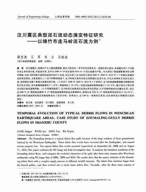 汶川震区典型泥石流动态演变特征研究——以绵竹市走马岭泥石流为例