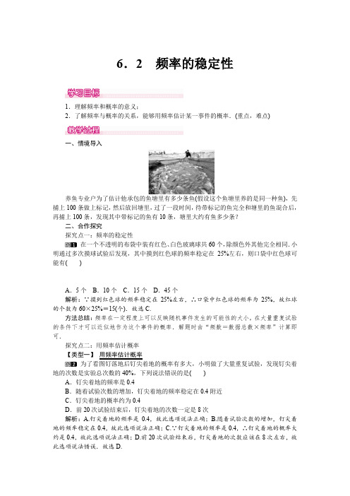 北师大版七年级数学下册6.2 频率的稳定性 教案