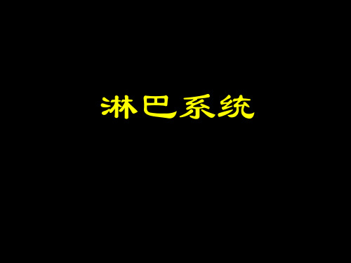 淋巴系统PPT课件