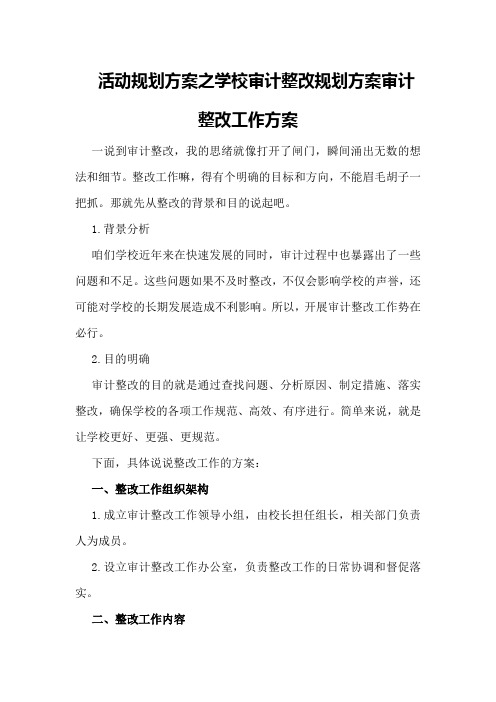 活动规划方案之学校审计整改规划方案审计整改工作方案