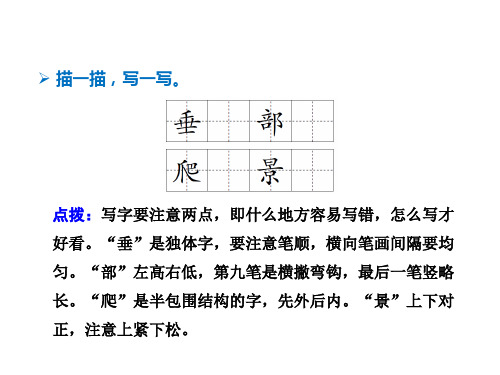 北师大版语文二年级下册优质课件5语文天地