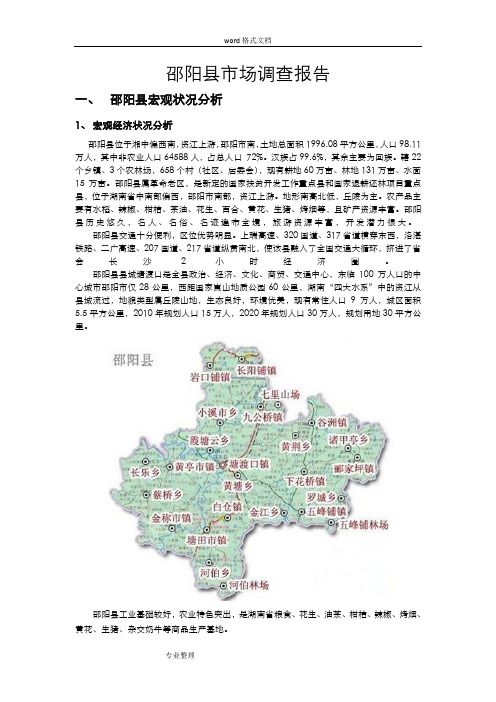 邵阳县市场调研报告书