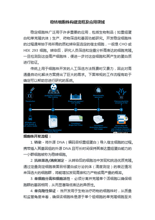 稳转细胞株构建流程及应用领域