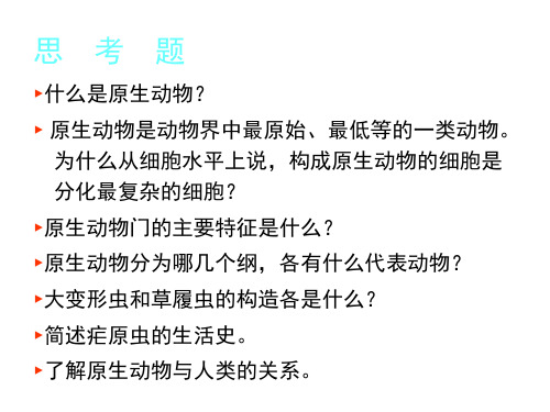 藻类学、思  考  题