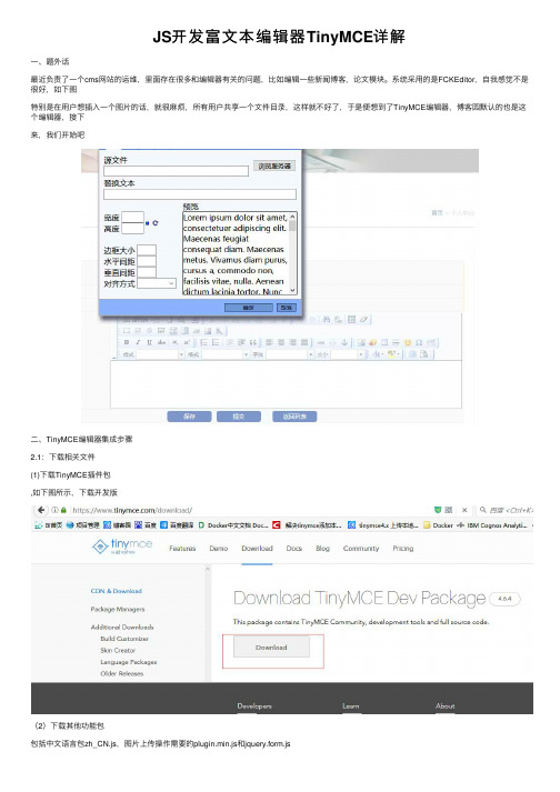 JS开发富文本编辑器TinyMCE详解