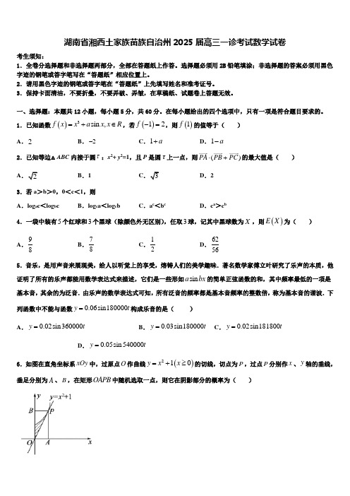 湖南省湘西土家族苗族自治州2025届高三一诊考试数学试卷含解析