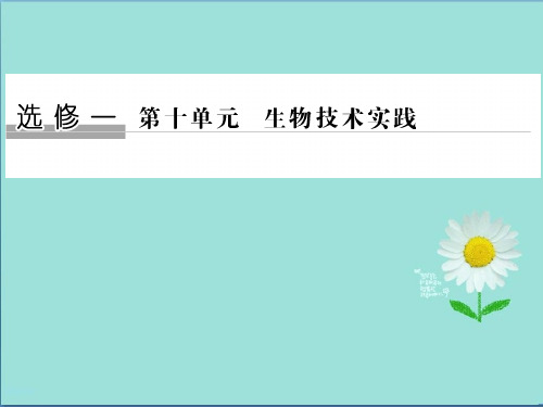 2019-2020版高三一轮复习系列选考总复习生物课件：第29讲微生物的利用、浅尝现代生物技术