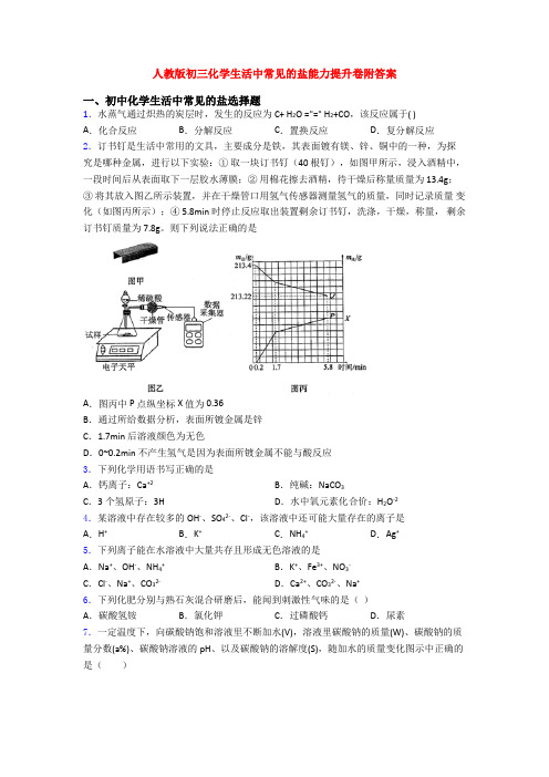 人教版初三化学生活中常见的盐能力提升卷附答案