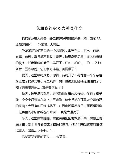 我和我的家乡大英县作文