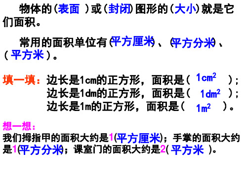 周长面积总复习