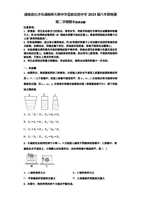 湖南省长沙市湖南师大附中学高新实验中学2024届八年级物理第二学期期末经典试题含解析