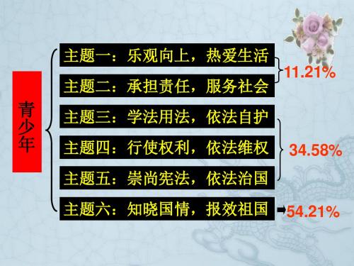 中考政治一轮复习专题一 学法守法课件