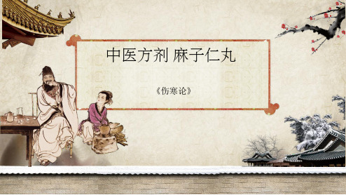 中医方剂麻子仁丸