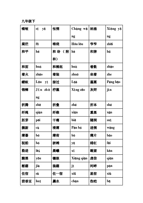 九年级语文下册语音复习检测试题