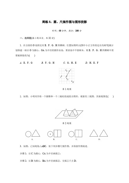 浙江省嘉兴市秀洲区高照实验学校2020届九年级下学期数学(901)周练八