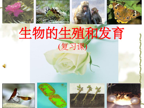 第七单元第一章：生物的生殖和发育复习完整ppt课件