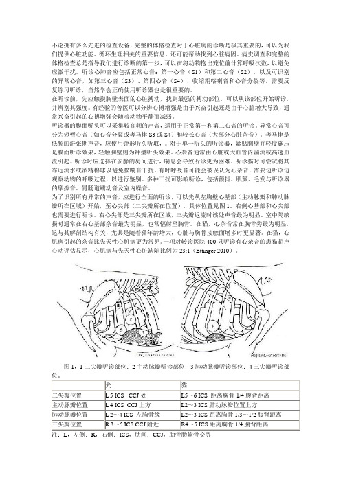 犬猫心音听诊-心脏杂音与奔马律