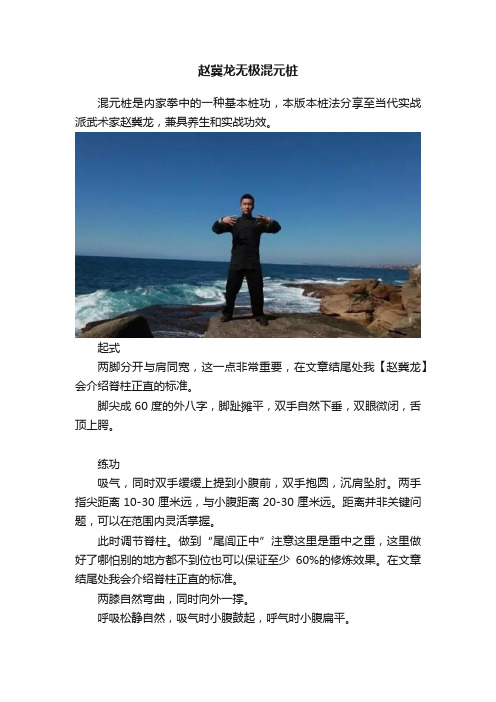 赵冀龙无极混元桩