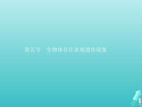 2021年高中生物第三章遗传的分子基础第五节生物体存在表观遗传现象课件浙科版必修2