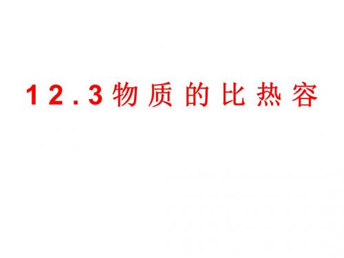 12.3物质的比热容(共29张PPT)