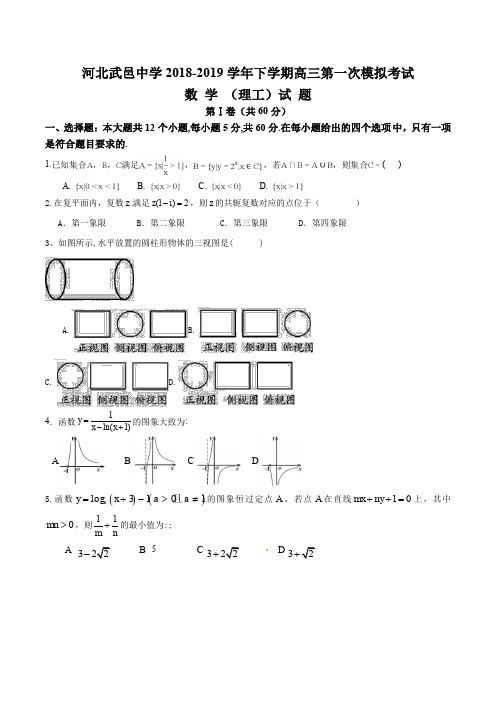 河北省武邑中学2019届高三下学期第一次模拟考试数学(理)试题含答案