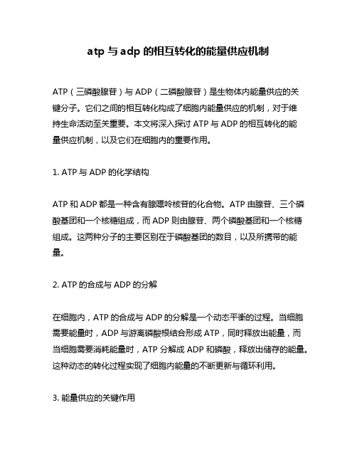 atp与adp的相互转化的能量供应机制