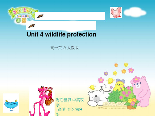 高中英语《unit 4 wildlife protection》优质教学课件