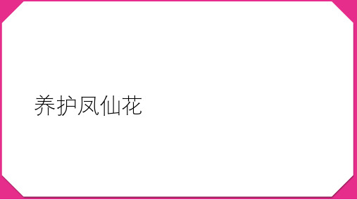 人教鄂教版小学科学三下-【5 养护凤仙花 人教版(共15张PPT)】