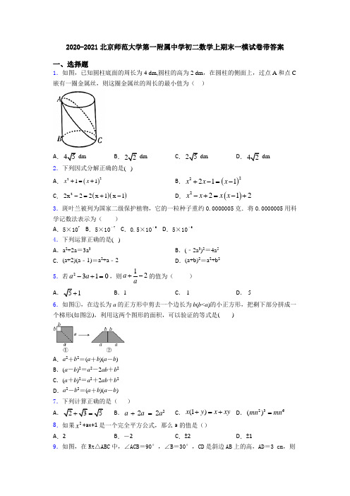 2020-2021北京师范大学第一附属中学初二数学上期末一模试卷带答案