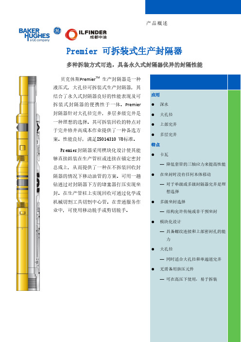 Premier可拆装式生产封隔器