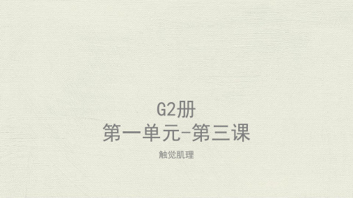 美术教案课件—G2-U1-L3触觉肌理