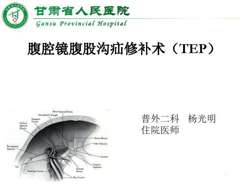 腹腔镜下经腹膜前疝修补术(TEP)