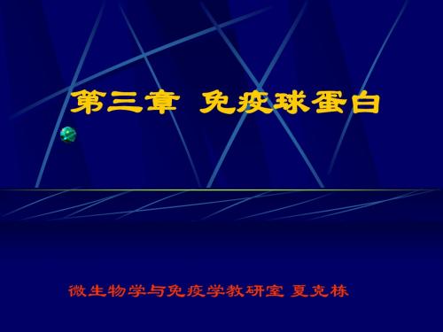 3章免疫球蛋白.ppt