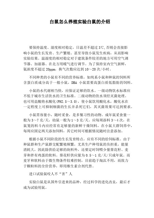 白鼠怎么养殖实验白鼠的介绍