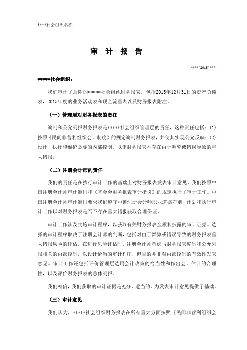 民办非企业单位财务审计工作报告范本