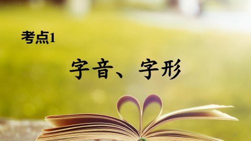 人教部编版语文九年级下册考点1 字音、字形