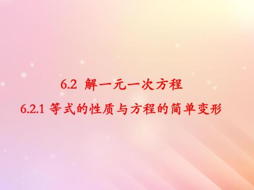 七年级数学下册第6章一元一次方程6.2解一元一次方程教学课件新版华东师大版