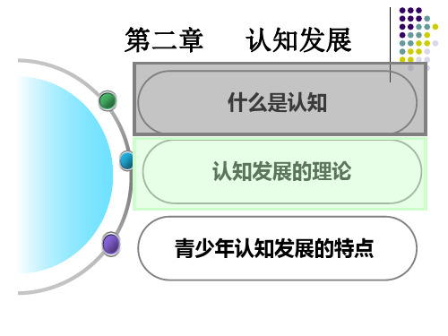 第二章 认知发展 第四次课