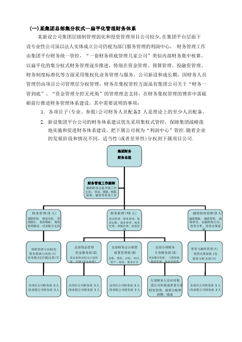 最新财务体系模式及组织架构方案(简版)